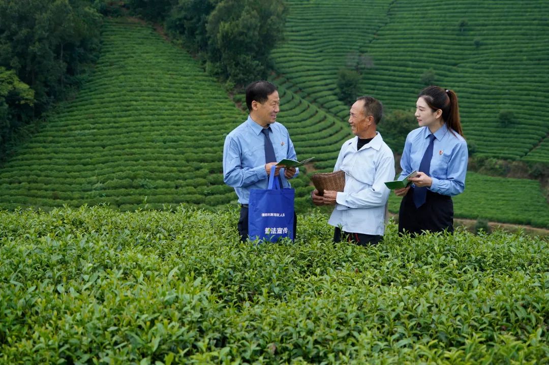 ���(y��ng)�Йz��C(j��)�P(gu��n)���|(zh��)������(w��)����ȫ�С�1335����������